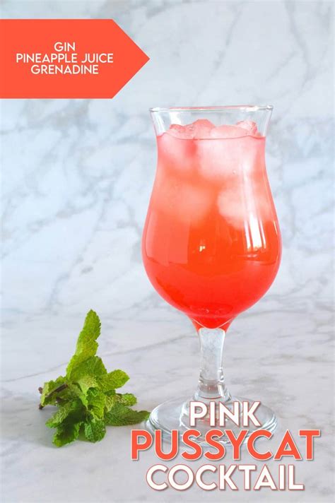 juicy pussycat|The Pink Pussycat Drink Recipe .